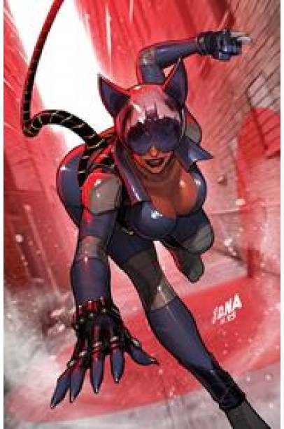 ABSOLUTE CATWOMAN #1 (OF 6) CVR B DAVID NAKAYAMA CARD STOCK VAR