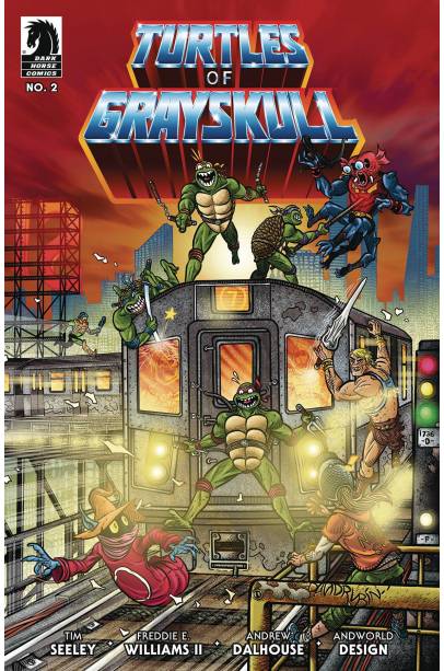 MASTERS OF UNIVERSE TMNT TURTLES OF GRAYSKULL #2 CVR C RUBIN