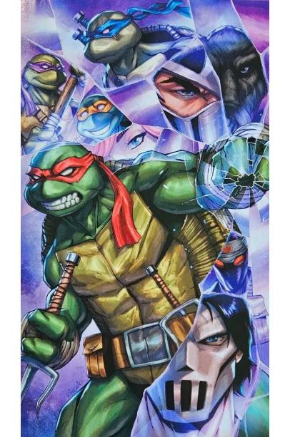 0        Teenage Mutant Ninja Turtles #6 Ryan Kincaid Exclusive Virgin Var